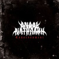 Libidinous (a Pig with Cocks in Its Eyes) - Anaal Nathrakh