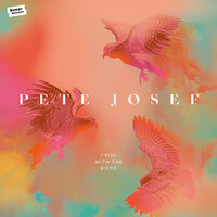 This Sun - Pete Josef
