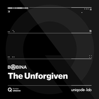 The Unforgiven - Bobina