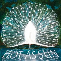 Desert Song - Hot As Sun