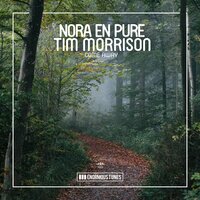Come Away - Nora En Pure, Tim Morrison