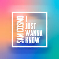 I Just Wanna Know - Sam Cosmo