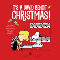 The Christmas Song - David Benoit