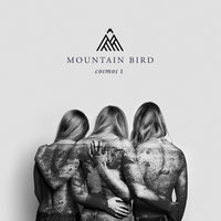 Caged - Mountain Bird