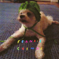 Dancing in the Public Eye - Frankie Cosmos