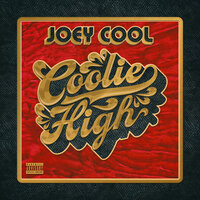 Lions - Joey Cool