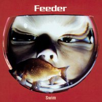 Shade - Feeder