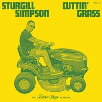 All the Pretty Colors - Sturgill Simpson