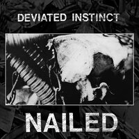 Void - Deviated Instinct