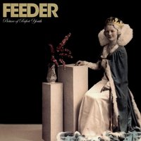 Tomorrow Shine - Feeder