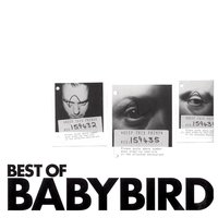 Bad Old Man - Babybird, Stephen Jones, Luke Scott