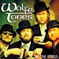 Finding of Moses - The Wolfe Tones