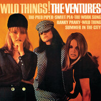 Wild Thing - The Ventures