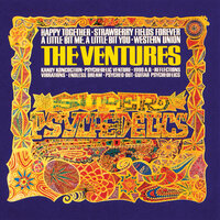 Happy Together - The Ventures