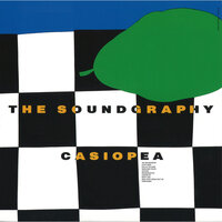What Can't Speak Can't Lie - Casiopea