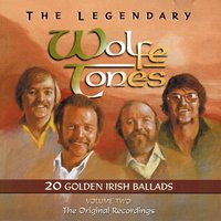 Treat Me Daughter Kindly - The Wolfe Tones