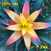 Get It Back - Pearl Jam
