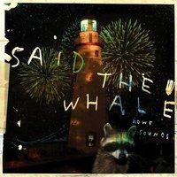Lady Hourglass, Your Head's On Fire! - Said The Whale