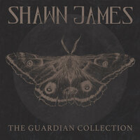 The Guardian (Ellie's Song) - Shawn James