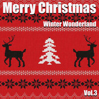 Holy Night - Andy Williams