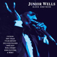 Hoodoo Man Blues - Junior Wells, Joe Louis Walker