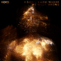 I Don't Know Where We Went Wrong - Hoko