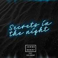Secrets In The Night - Junge Junge, Séb Mont