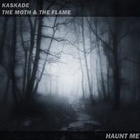 Haunt Me - Kaskade, The Moth & The Flame