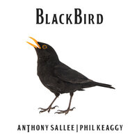 Blackbird - Phil Keaggy