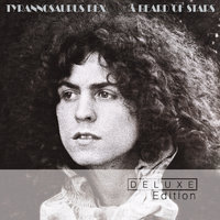 Pavilions Of Sun - Marc Bolan, T. Rex