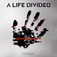 Right Where I Belong - A Life Divided