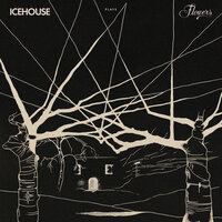 Skin - Icehouse