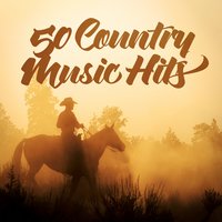 I Don't Want to Miss a Thing - American Country Hits