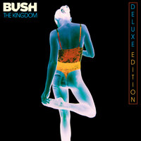 Quicksand - Bush