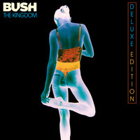 Bullet Holes - Bush