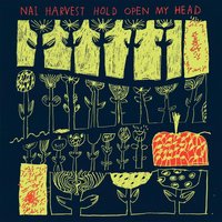 Hold Open My Head - Nai Harvest