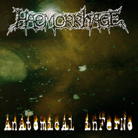 Enshrouded in Putrilage - Haemorrhage