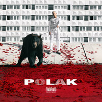 Polak - PLK