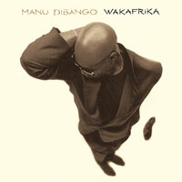 Biko - Manu Dibango, Peter Gabriel, Ladysmith Black Mambazo