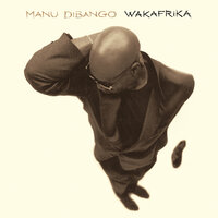 Homeless - Manu Dibango, Ray Lema