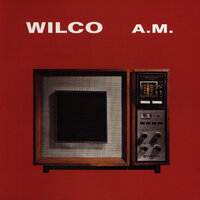 Should've Been in Love - Wilco