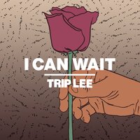 I Can Wait - Trip Lee