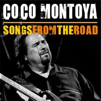 I Wish I Could Be That Strong - Coco Montoya