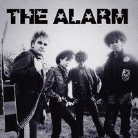 Up for Murder - The Alarm
