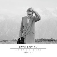 Red Guitar - David Sylvian