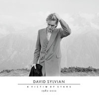 Where's Your Gravity? - David Sylvian