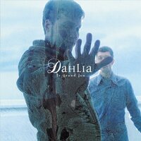 Ma cécité - Dahlia