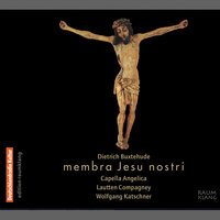 Membra Jesu nostri, BuxWV 75: VII. Ad Faciem - Lautten Compagney, Wolfgang Katschner, Capella Angelica