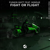 Fight Or Flight - Funkin Matt, Mingue