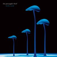 What Are You Saying? - The Pineapple Thief